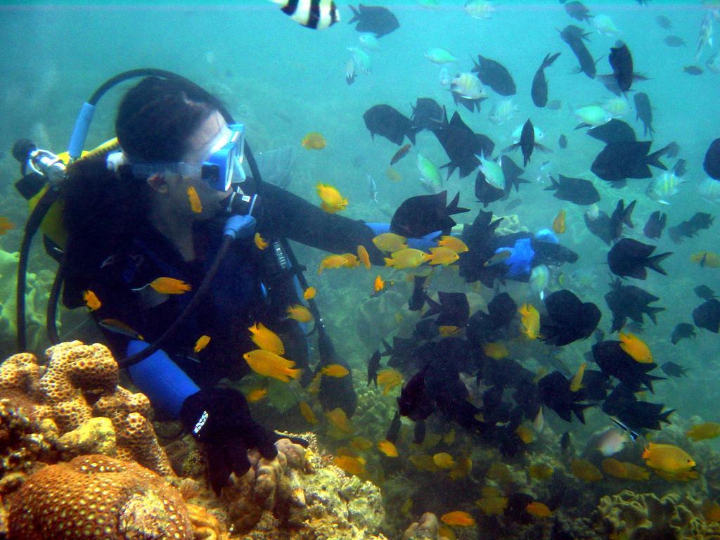 Paradise Island Park & Beach Resort Samal Εξωτερικό φωτογραφία